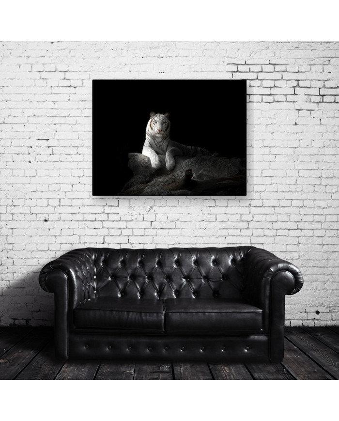 Tigre blanco de Bengala