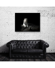 Tigre blanco de Bengala