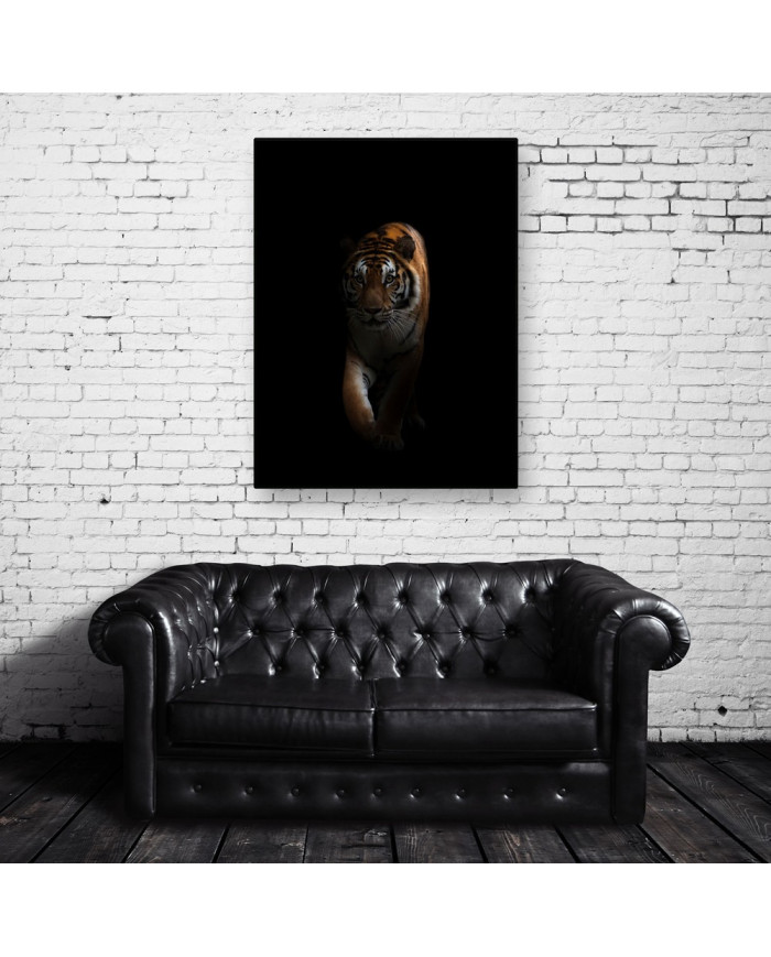 Tigre en la oscuridad