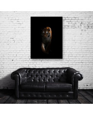 Tigre en la oscuridad