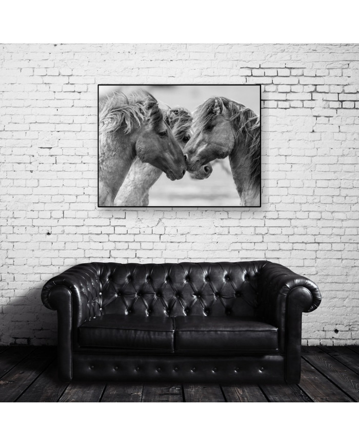 Caballos en lucha II