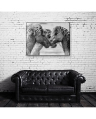 Caballos en lucha II