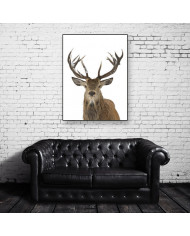 Ciervo rojo en Finlandia