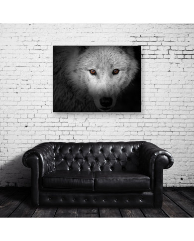 La mirada del lobo La mirada del lobo