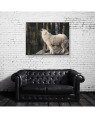 Lobo blanco aullando