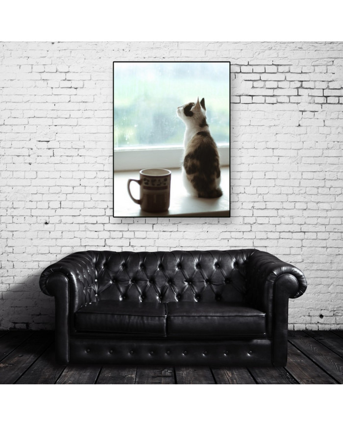 La mirada del gato II