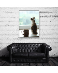 La mirada del gato II