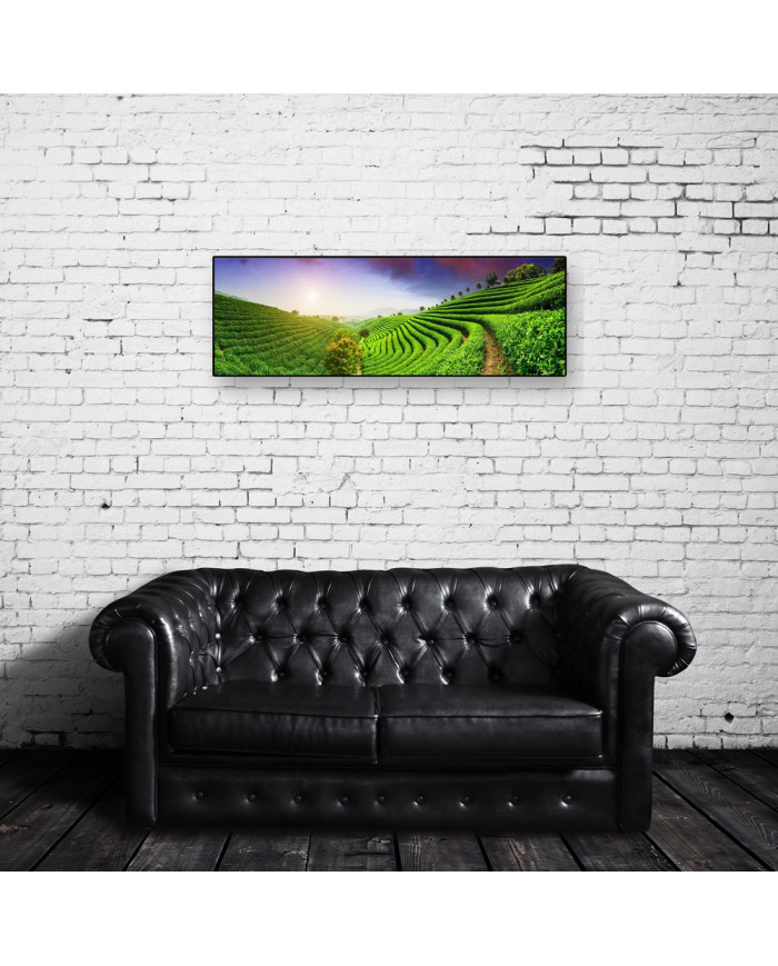 Plantaciones de té, China