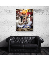 El encantador de serpientes,  India