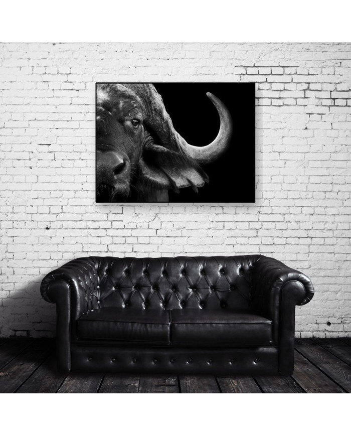 Retrato de un búfalo africano, Parque Nacional del Serengueti, Tanzania