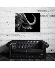 Retrato de un búfalo africano, Parque Nacional del Serengueti, Tanzania