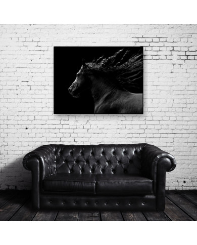 Caballo negro cabalgando Caballo negro cabalgando