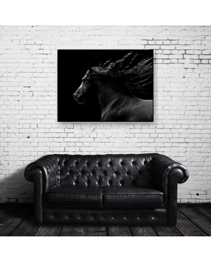 Caballo negro cabalgando