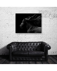 Caballo negro cabalgando