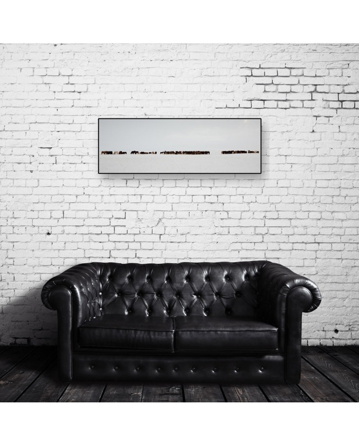 Vista panorámica, caballos, Islandia