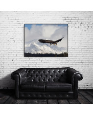 Aguila blanca, Homer Alaska