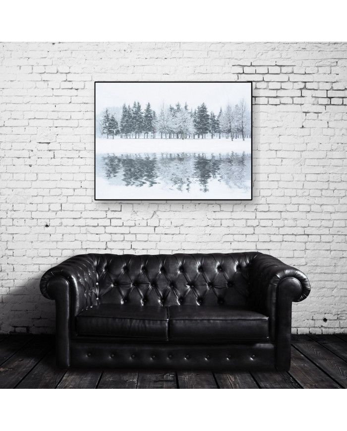 Bosque en invierno, Alaska, USA