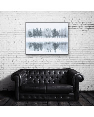 Bosque en invierno, Alaska, USA