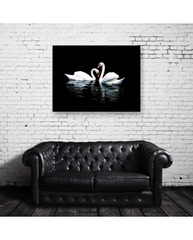Retrato de dos cisnes Retrato de dos cisnes
