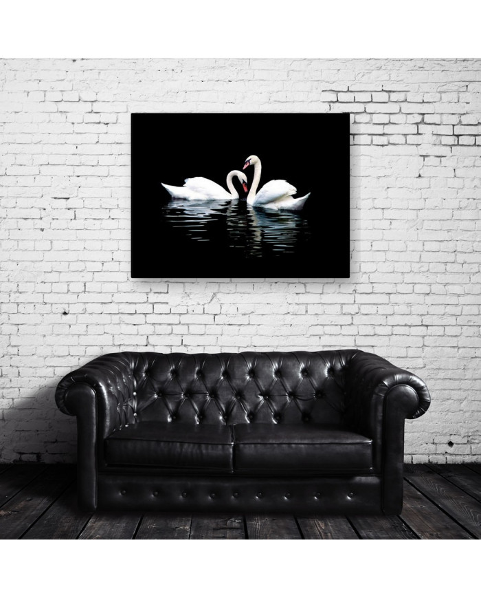 Retrato de dos cisnes