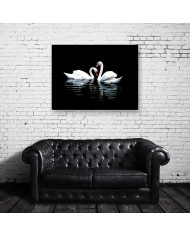 Retrato de dos cisnes