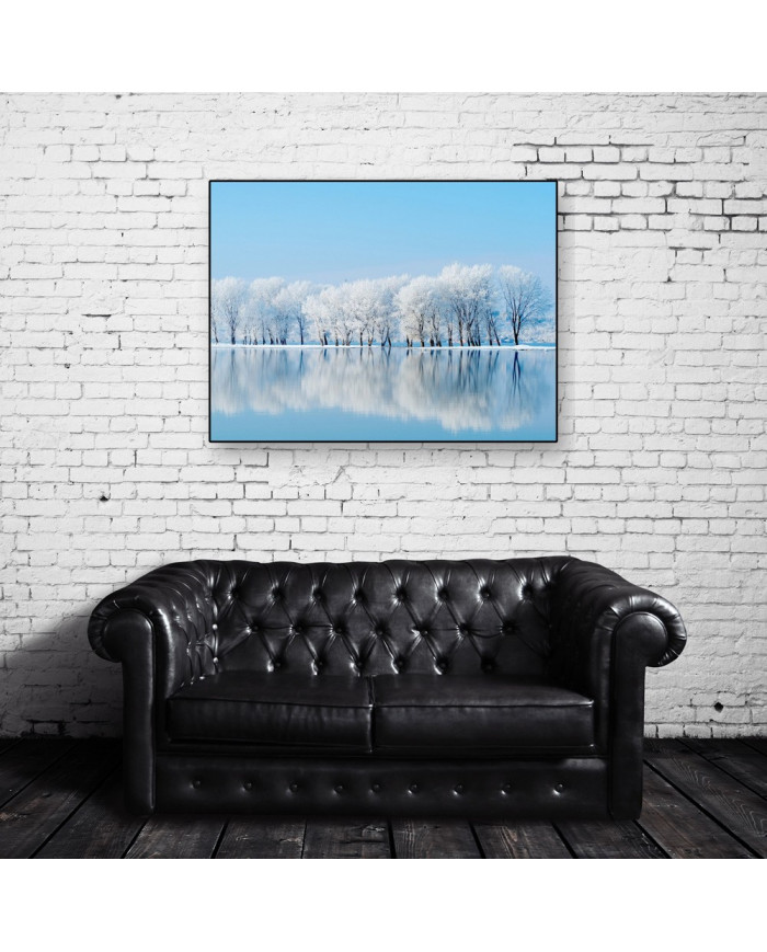 Bosque en invierno, Siberia, Rusia