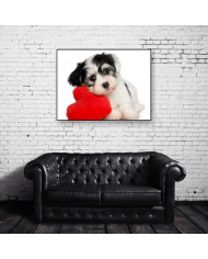 Cachorro de perro havanese