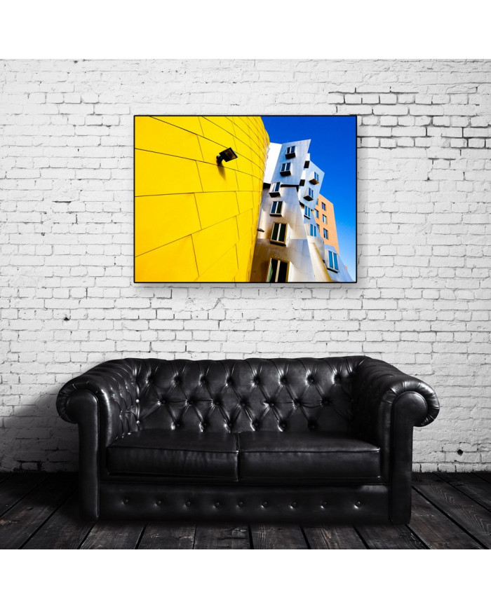 Frank Gehry Architecture