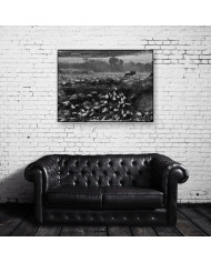 Migración  a través del río Mara, Kenia