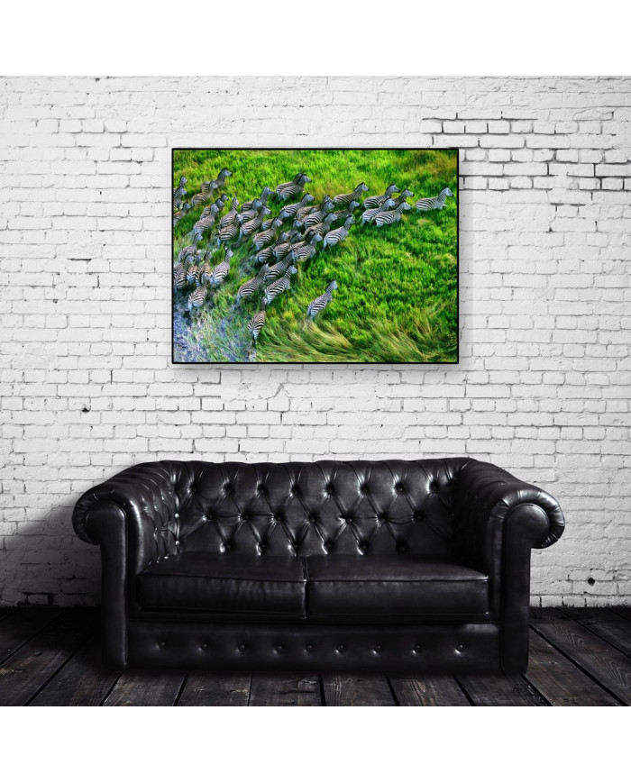 Grupo de zebras atravesando el  Parque Nacional de Nxai Pan, Botsuana