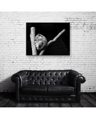 Koala, Queensland, Australia