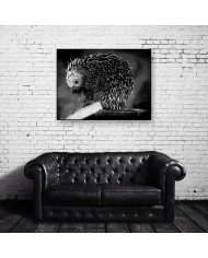 Puercoespín, Alaska, USA