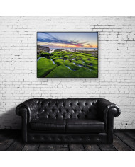 Costa de la Joya, California, USA