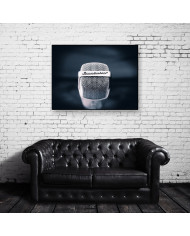 El micrófono de nuestras vidas