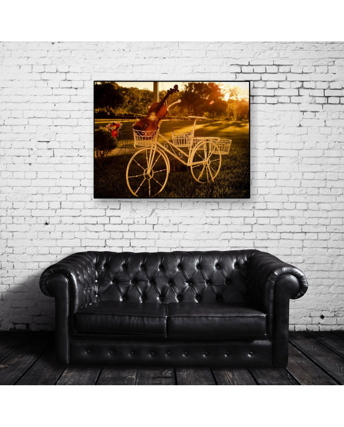 Bicicleta con violín
