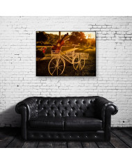 Bicicleta con violín