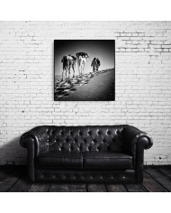 Viajando por el desierto del Sahara