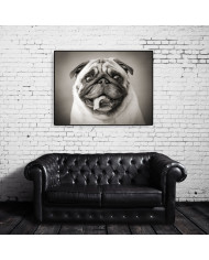 Cachorro Pug