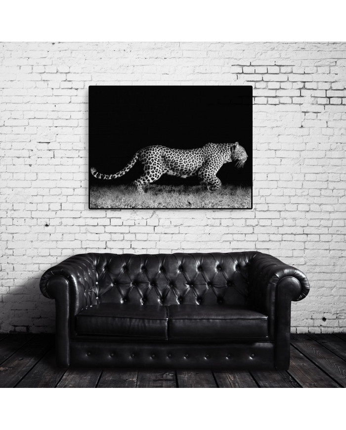 Leopardo al acecho, Parque Nacional Kruger, Sudáfrica