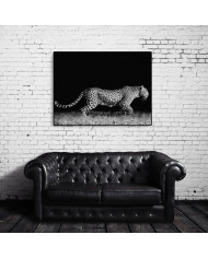 Leopardo al acecho, Parque Nacional Kruger, Sudáfrica