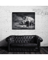 Rinoceronte blanco, Parque Nacional Garamba, Congo