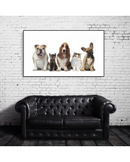 Los mejores amigos del hombre