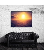 La niebla matutina en la pradera