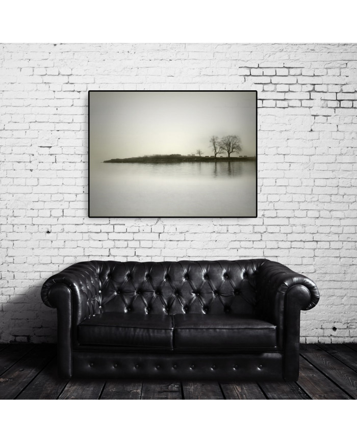 El reflejo de los árboles