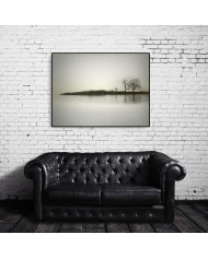 El reflejo de los árboles