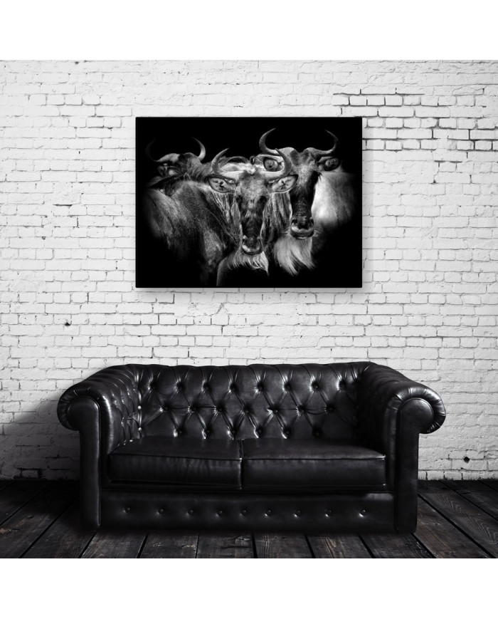 Antílopes,  Parque Nacional Serengueti, Tanzania