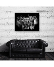 Antílopes,  Parque Nacional Serengueti, Tanzania