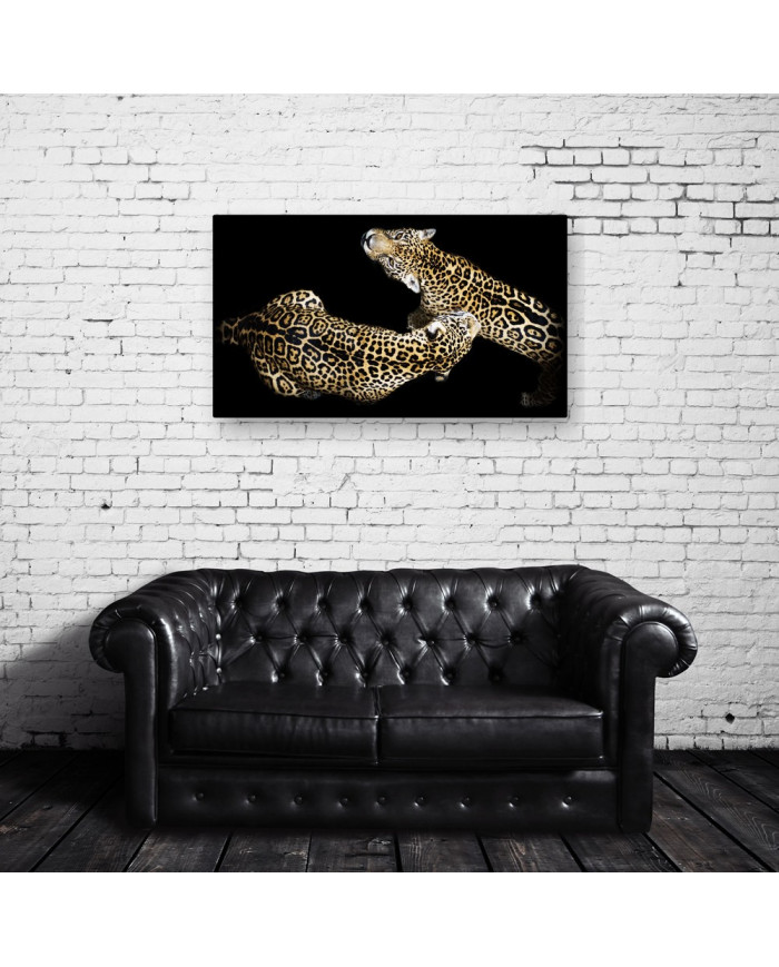 Apareamiento de dos leopardos