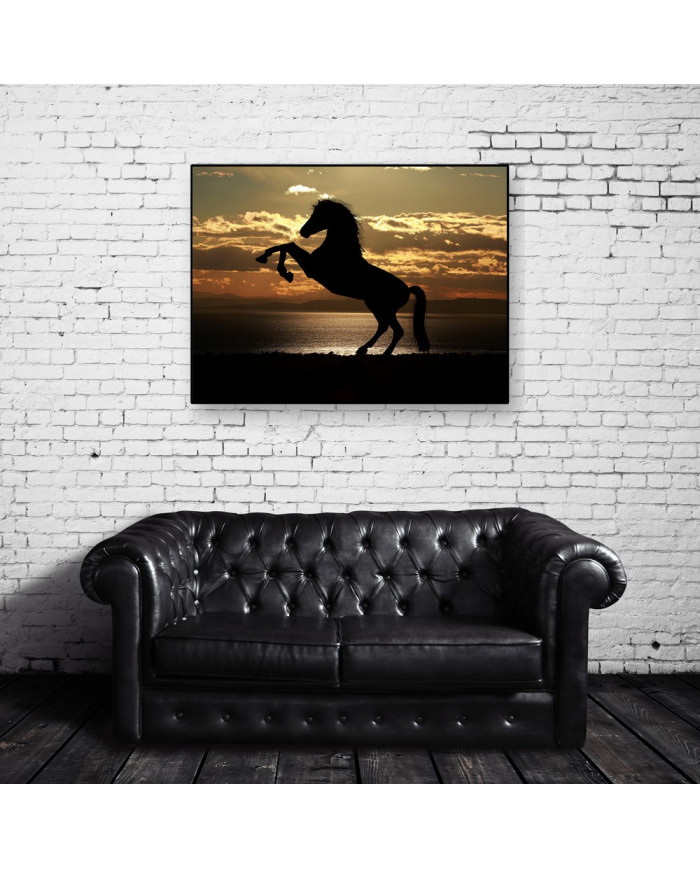 Caballo en la playa al atardecer