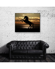 Caballo en la playa al atardecer